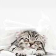 ヒメ日記 2025/11/04 22:04 投稿 春田和佳奈 五十路マダム 浜松店(カサブランカグループ)