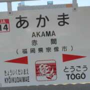 ヒメ日記 2025/04/29 13:08 投稿 さきこ 待ちナビ