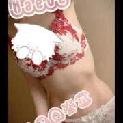 ヒメ日記 2025/05/29 16:51 投稿 楓-かえで- 男の潮吹き専門店　上野回春堂