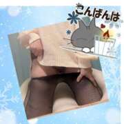 ヒメ日記 2024/12/17 18:36 投稿 西尾さや 五十路マダム宇都宮店(カサブランカグループ)