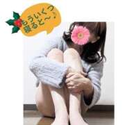 ヒメ日記 2024/12/20 14:10 投稿 西尾さや 五十路マダム宇都宮店(カサブランカグループ)