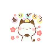 ヒメ日記 2025/01/09 19:16 投稿 西尾さや 五十路マダム宇都宮店(カサブランカグループ)