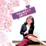 ヒメ日記 2025/04/08 16:10 投稿 西尾さや 五十路マダム宇都宮店(カサブランカグループ)