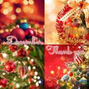 ヒメ日記 2024/12/31 07:00 投稿 ありさ TSUBAKI(つばき)土浦店