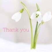 ヒメ日記 2025/01/17 19:00 投稿 ありさ TSUBAKI(つばき)土浦店