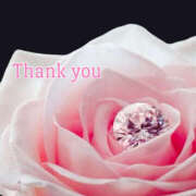 ヒメ日記 2025/04/21 06:00 投稿 ありさ TSUBAKI(つばき)土浦店