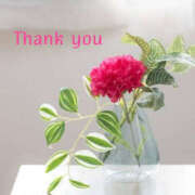 ヒメ日記 2025/05/11 22:00 投稿 ありさ TSUBAKI(つばき)土浦店