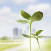 ヒメ日記 2025/06/12 12:00 投稿 ありさ TSUBAKI(つばき)土浦店