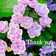 ヒメ日記 2025/06/18 18:30 投稿 ありさ TSUBAKI(つばき)土浦店