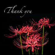 ヒメ日記 2025/09/13 21:00 投稿 ありさ TSUBAKI(つばき)土浦店