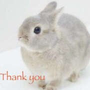 ヒメ日記 2025/09/14 22:00 投稿 ありさ TSUBAKI(つばき)土浦店