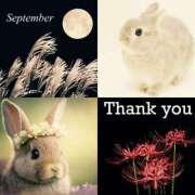 ヒメ日記 2025/10/01 20:47 投稿 ありさ TSUBAKI(つばき)土浦店