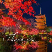 ヒメ日記 2025/11/10 07:00 投稿 ありさ TSUBAKI(つばき)土浦店