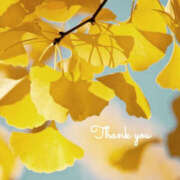 ヒメ日記 2025/11/30 05:00 投稿 ありさ TSUBAKI(つばき)土浦店