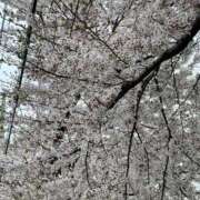 ちはる こんにちは！ TSUBAKI(つばき)土浦店