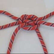 ヒメ日記 2024/12/17 12:38 投稿 ねね YESグループ　華女