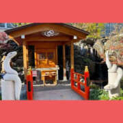 ヒメ日記 2025/01/02 07:41 投稿 ねね YESグループ　華女