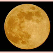 ヒメ日記 2025/01/14 08:32 投稿 ねね YESグループ　華女