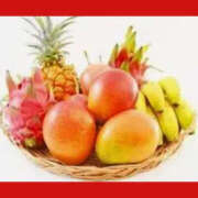 ヒメ日記 2025/01/23 20:00 投稿 ねね YESグループ　華女