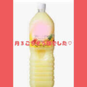 ヒメ日記 2025/01/28 17:00 投稿 ねね YESグループ　華女