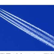 ヒメ日記 2025/02/08 17:31 投稿 ねね YESグループ　華女