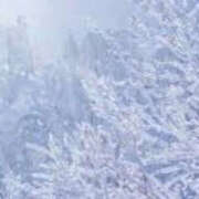 ヒメ日記 2025/02/17 11:23 投稿 ねね YESグループ　華女