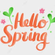 ヒメ日記 2025/03/01 17:38 投稿 ねね YESグループ　華女