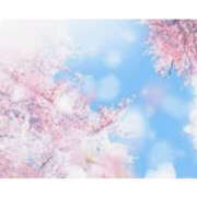 ヒメ日記 2025/03/25 11:08 投稿 ねね YESグループ　華女