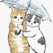 ヒメ日記 2025/04/01 16:50 投稿 ねね YESグループ　華女