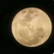 ヒメ日記 2025/04/13 07:53 投稿 ねね YESグループ　華女