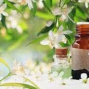 ヒメ日記 2025/04/27 11:54 投稿 ねね YESグループ　華女