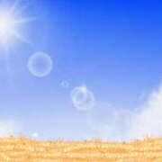 ヒメ日記 2025/04/29 08:27 投稿 ねね YESグループ　華女