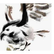 ヒメ日記 2025/04/29 14:41 投稿 ねね YESグループ　華女