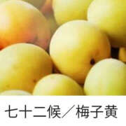 ヒメ日記 2025/06/16 15:18 投稿 ねね YESグループ　華女