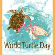 ヒメ日記 2025/06/27 17:55 投稿 ねね YESグループ　華女