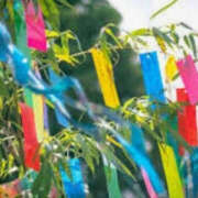 ヒメ日記 2025/07/02 15:12 投稿 ねね YESグループ　華女