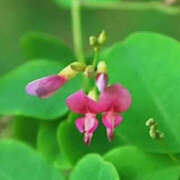 ヒメ日記 2025/08/07 16:13 投稿 ねね YESグループ　華女