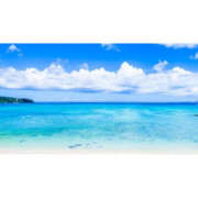 ヒメ日記 2025/08/18 08:37 投稿 ねね YESグループ　華女