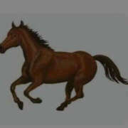 ヒメ日記 2025/09/10 08:08 投稿 ねね YESグループ　華女