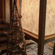 ヒメ日記 2025/11/22 16:42 投稿 ねね YESグループ　華女