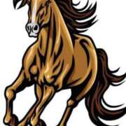 ヒメ日記 2025/12/07 18:12 投稿 ねね YESグループ　華女