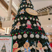 ヒメ日記 2025/12/08 07:05 投稿 ねね YESグループ　華女