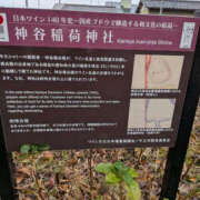 ねね よりによってこんなに大事な日に YESグループ　華女