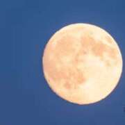 ヒメ日記 2026/02/02 06:18 投稿 ねね YESグループ　華女