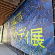 ヒメ日記 2026/02/03 07:20 投稿 ねね YESグループ　華女