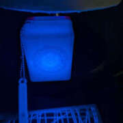 ヒメ日記 2026/02/13 20:45 投稿 ねね YESグループ　華女