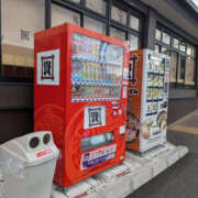 ヒメ日記 2026/02/16 16:29 投稿 ねね YESグループ　華女