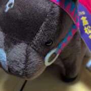 ヒメ日記 2026/02/19 06:25 投稿 ねね YESグループ　華女