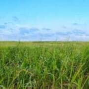 ヒメ日記 2026/02/19 14:44 投稿 ねね YESグループ　華女