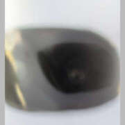 ヒメ日記 2026/03/10 16:16 投稿 ねね YESグループ　華女